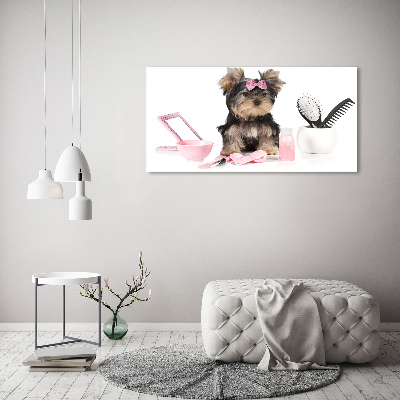 Canvas foto Yorkshire cosmetica