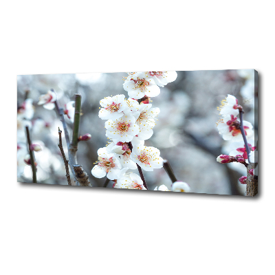 Schilderij op canvas Kersenbloesems