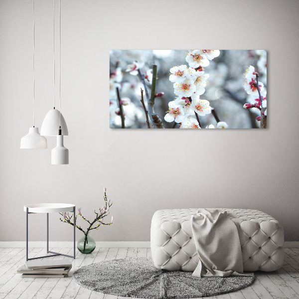 Schilderij op canvas Kersenbloesems