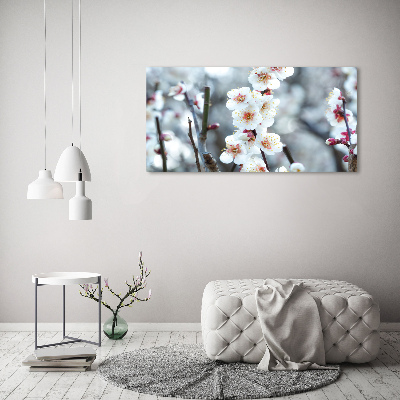 Schilderij op canvas Kersenbloesems