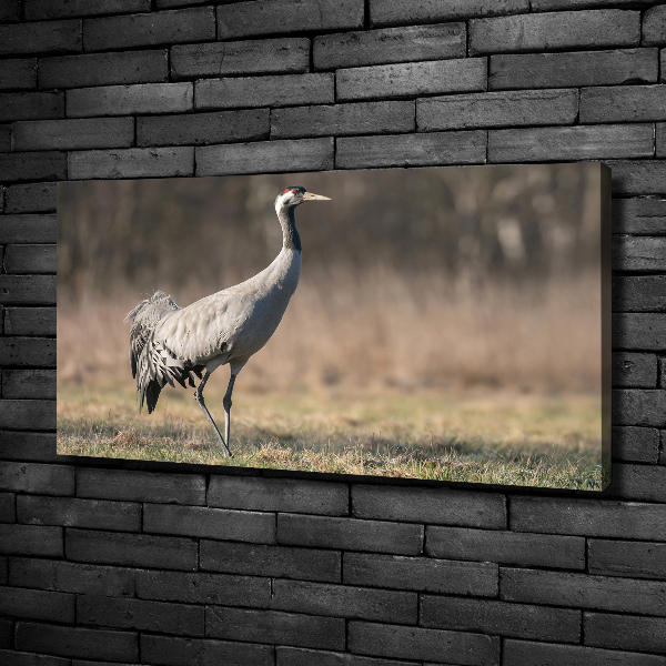 Canvas schilderij Reiger