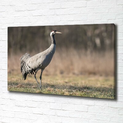 Canvas schilderij Reiger