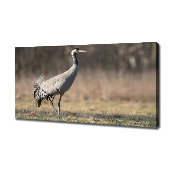 Canvas schilderij Reiger