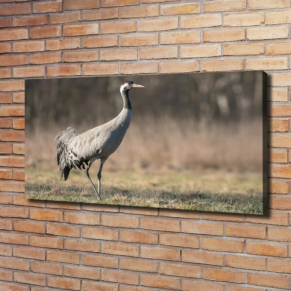 Canvas schilderij Reiger