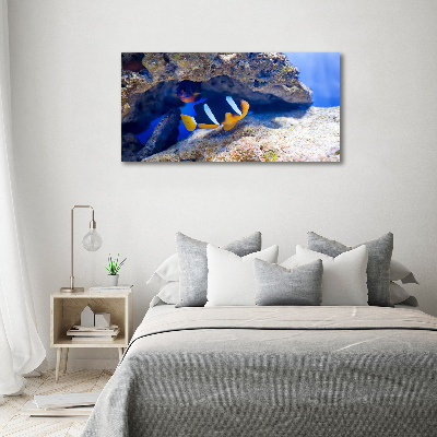 Schilderij op canvas Tropische vissen