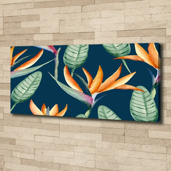 Foto obraz na płótnie Strelicja królewska