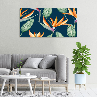 Canvas foto Strelitzia reginae