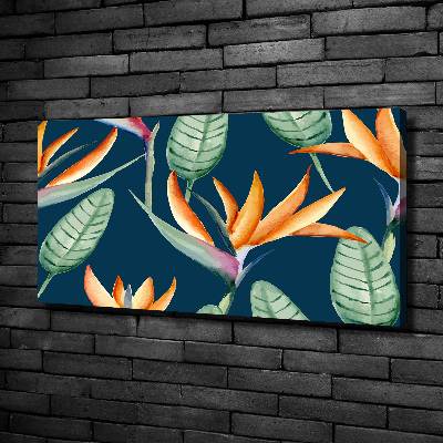 Canvas foto Strelitzia reginae