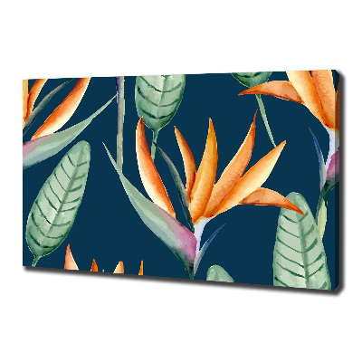 Canvas foto Strelitzia reginae