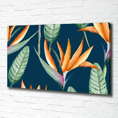 Canvas foto Strelitzia reginae
