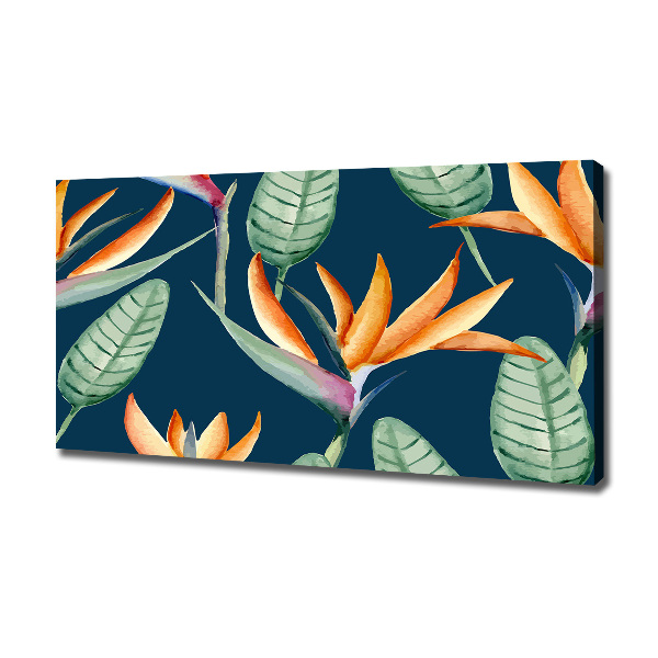 Canvas foto Strelitzia reginae