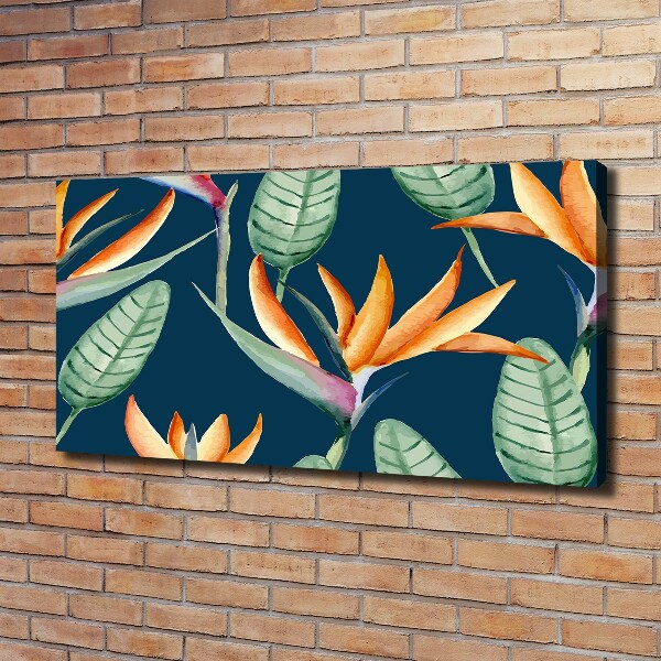 Foto obraz na płótnie Strelicja królewska