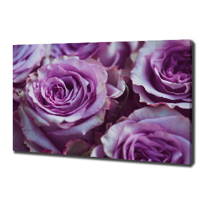 Foto op canvas Paarse rozen