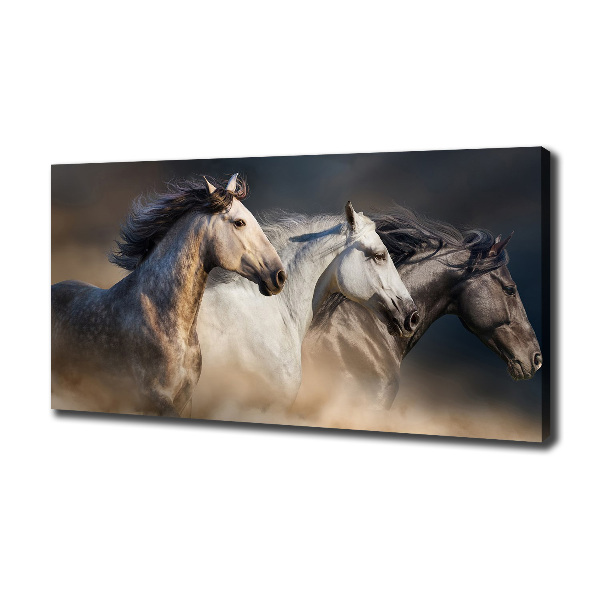 Foto op canvas Paarden in galop
