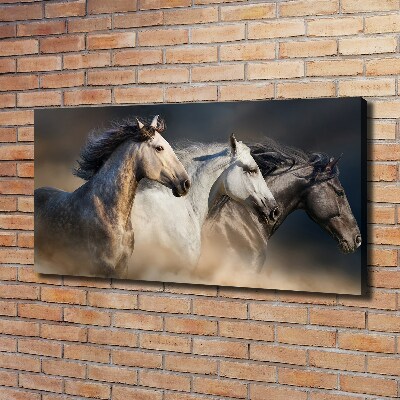 Foto op canvas Paarden in galop