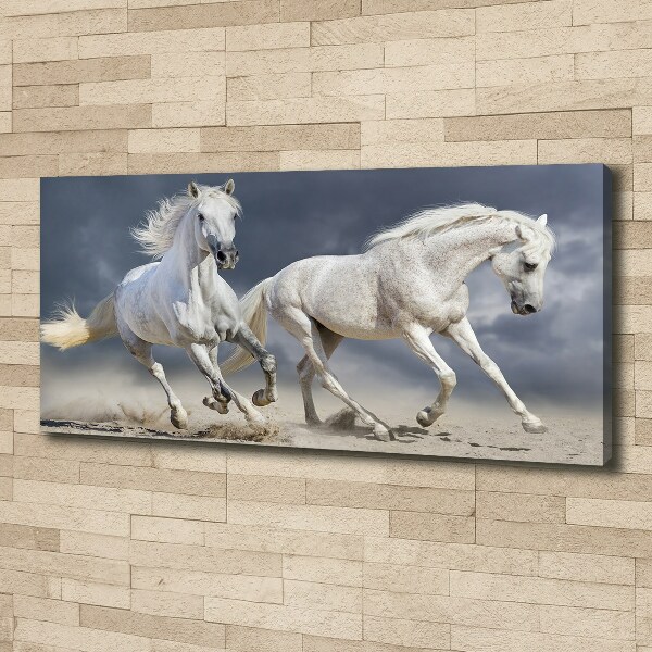Canvas foto Witte paardenstrand