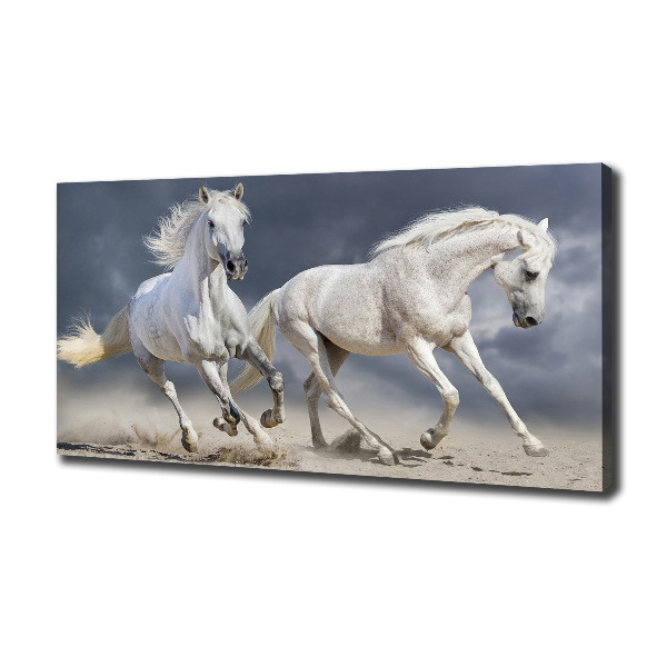 Canvas foto Witte paardenstrand