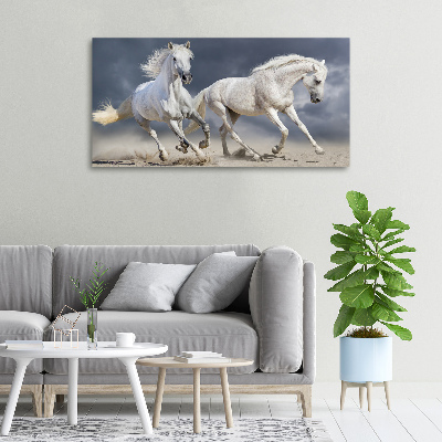 Canvas foto Witte paardenstrand
