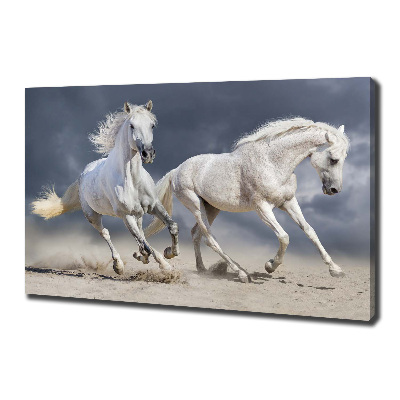 Canvas foto Witte paardenstrand
