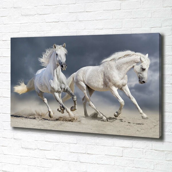 Canvas foto Witte paardenstrand