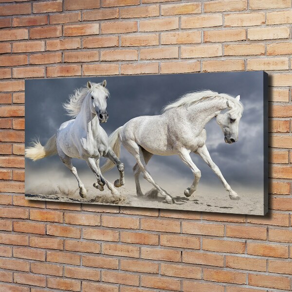 Canvas foto Witte paardenstrand