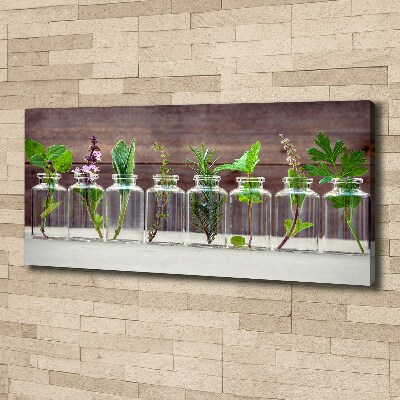 Canvas schilderij Planten in potten