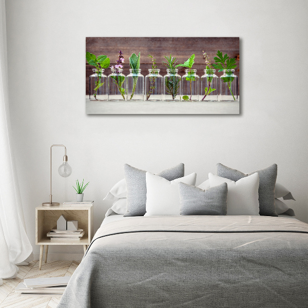 Canvas schilderij Planten in potten