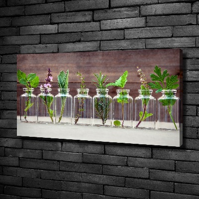 Canvas schilderij Planten in potten