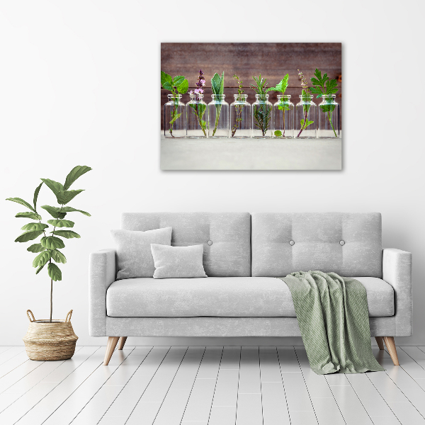 Canvas schilderij Planten in potten