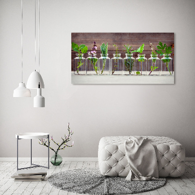 Canvas schilderij Planten in potten