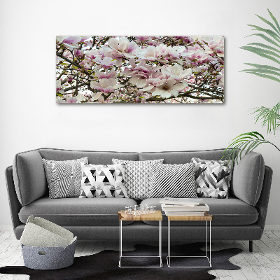 Schilderij op canvas Magnolia bloemen