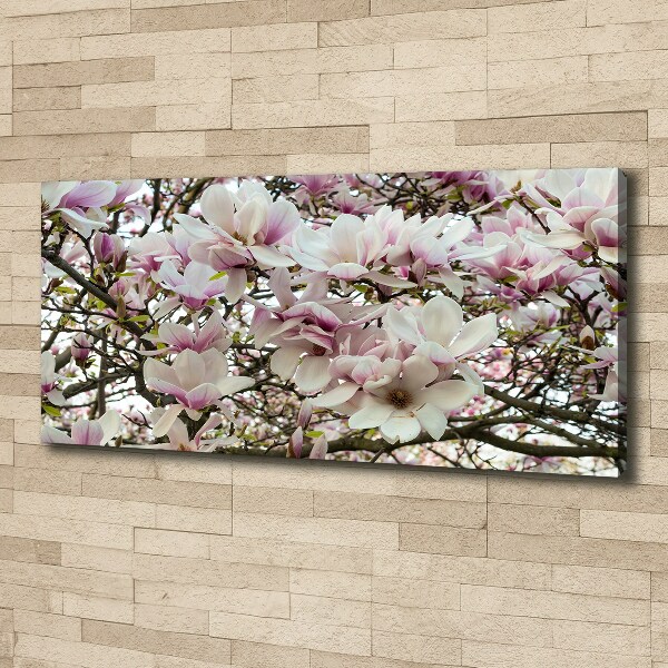 Schilderij op canvas Magnolia bloemen