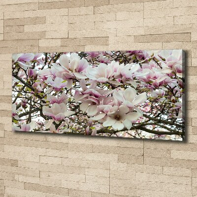 Schilderij op canvas Magnolia bloemen