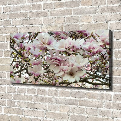 Schilderij op canvas Magnolia bloemen