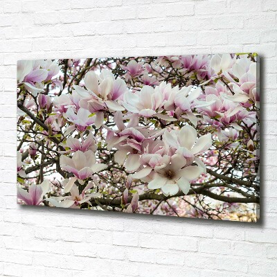 Schilderij op canvas Magnolia bloemen