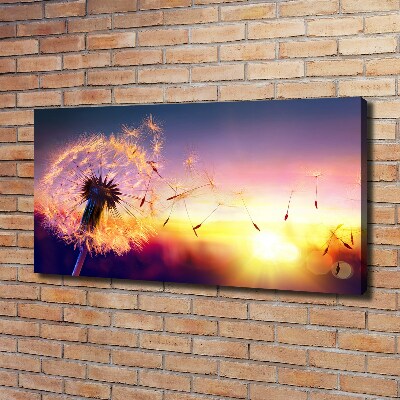 Foto canvas Paardebloem