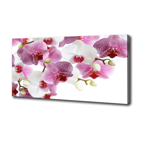 Foto op canvas Orchidee