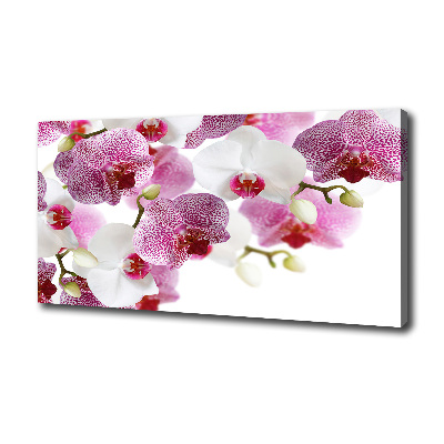 Foto op canvas Orchidee