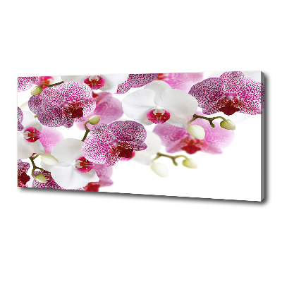 Foto obraz canvas Orchidea