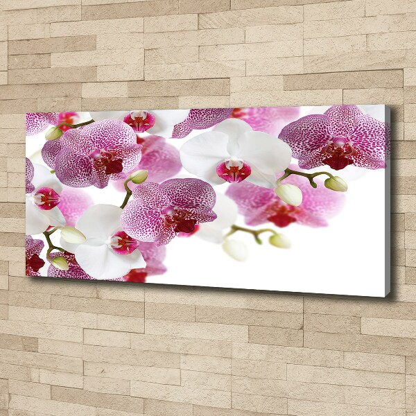 Foto op canvas Orchidee