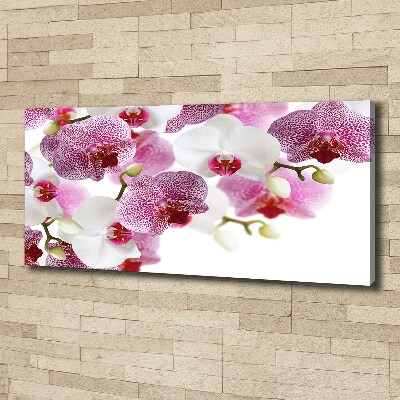 Foto op canvas Orchidee