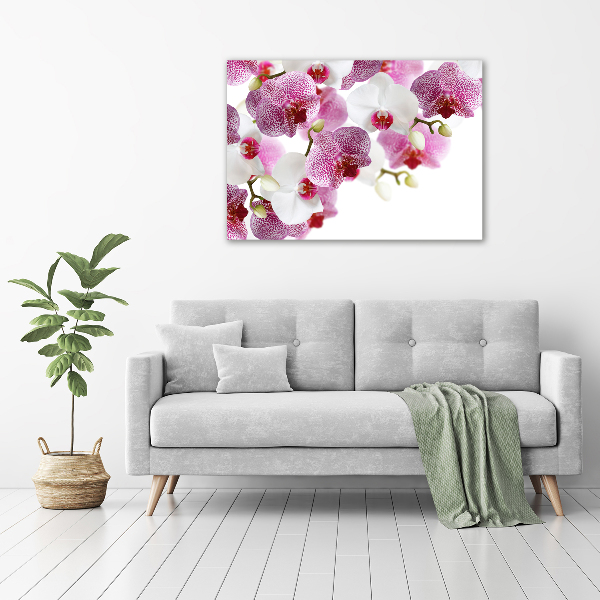 Foto op canvas Orchidee