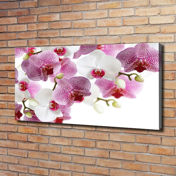 Foto op canvas Orchidee
