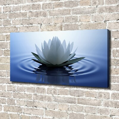 Canvas foto Waterlelie