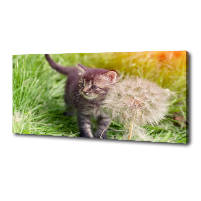 Schilderij op canvas Kitten met een paardenbloem
