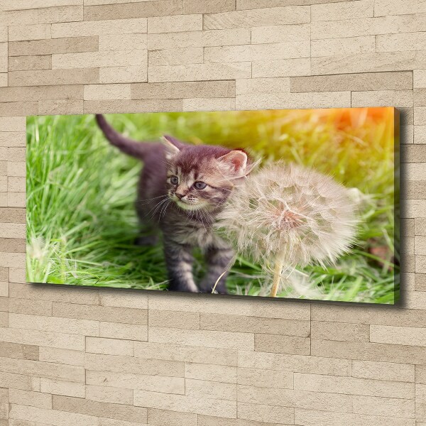 Schilderij op canvas Kitten met een paardenbloem