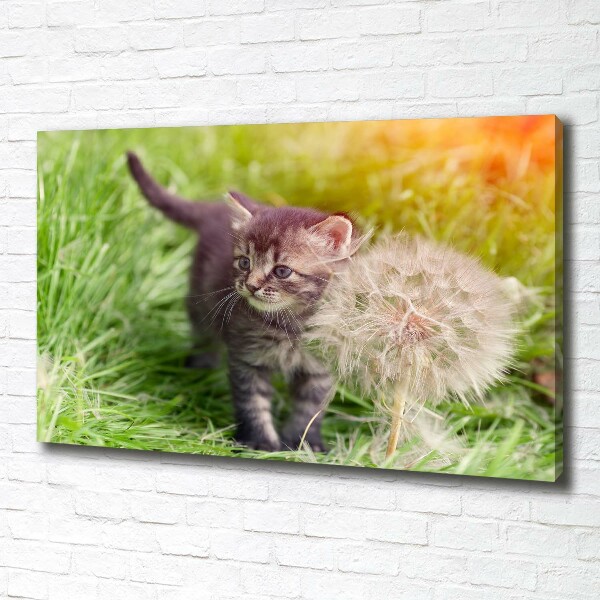 Schilderij op canvas Kitten met een paardenbloem