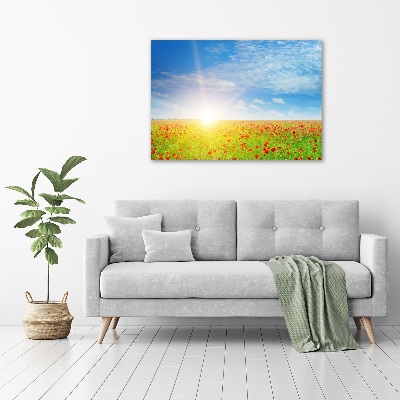 Foto obraz canvas Pole maków