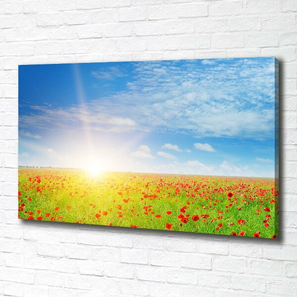 Canvas schilderij Klaprozenveld