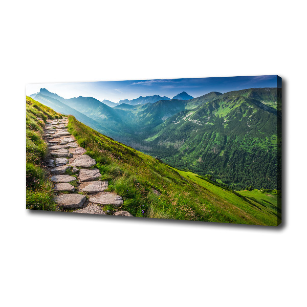 Foto canvas Wandelpad in het Tatragebergte